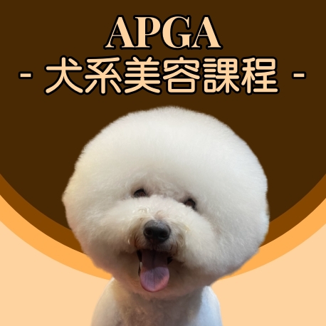 犬系美容課程_亞洲寵物美容學院