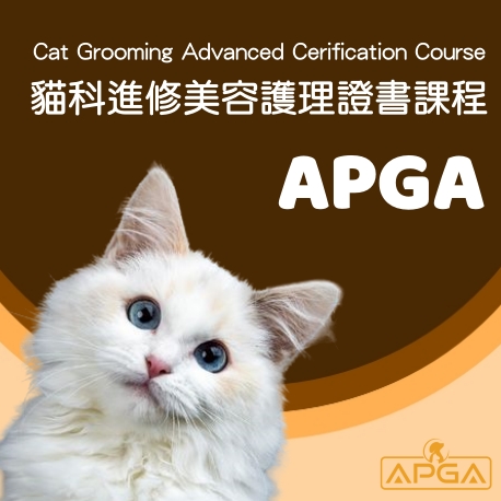 貓科進修美容護理證書課程_APGA亞洲寵物美容學院