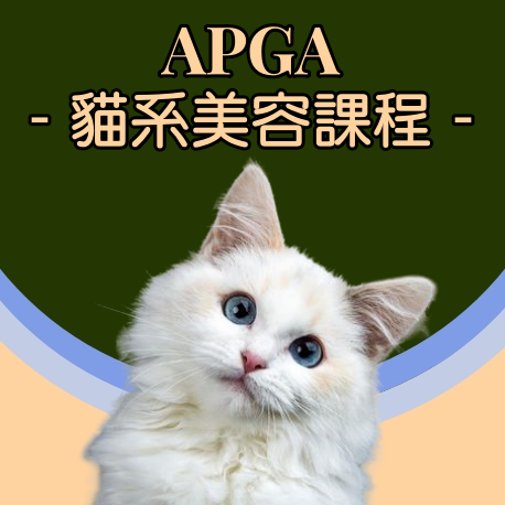 貓系美容課程_亞洲寵物美容學院
