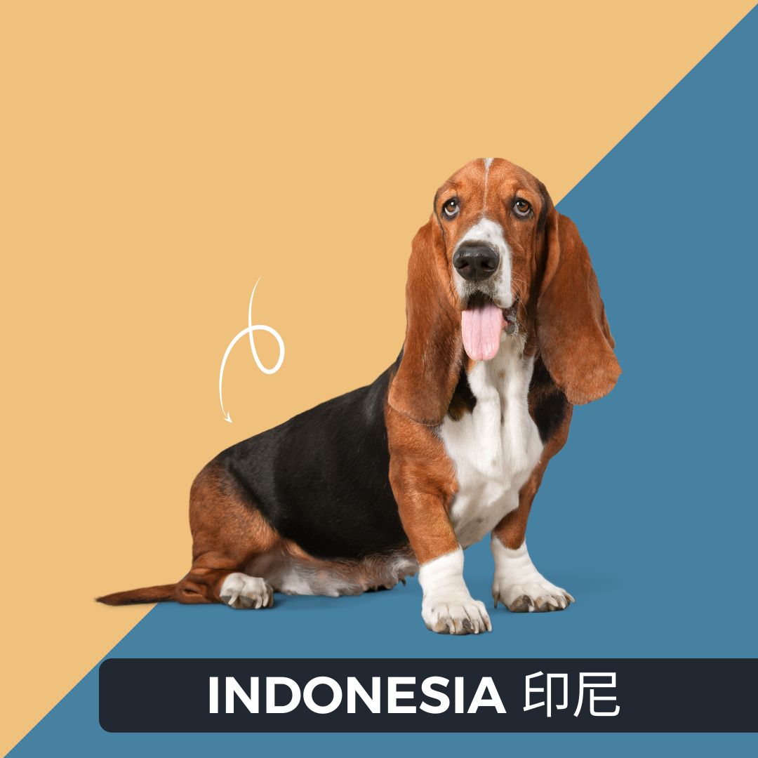 APGA_Indonesia