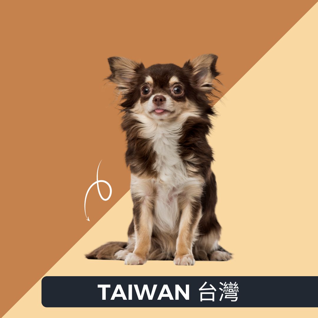 APGA_Taiwan