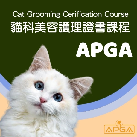 貓科美容護理證書課程_APGA亞洲寵物美容學院